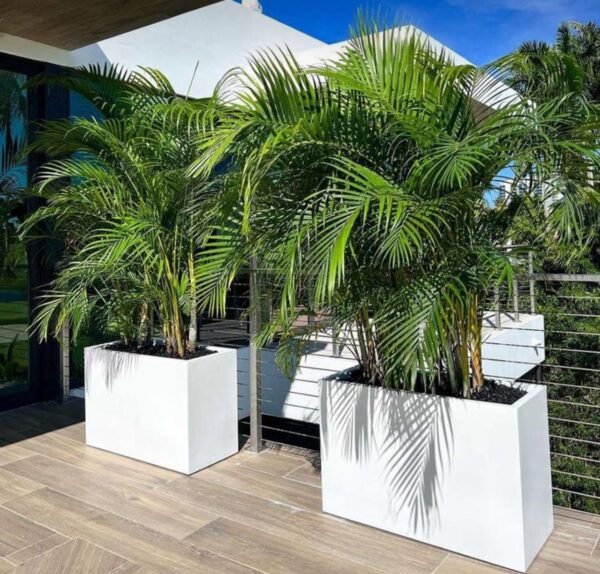 Pots and Columns - Image 2