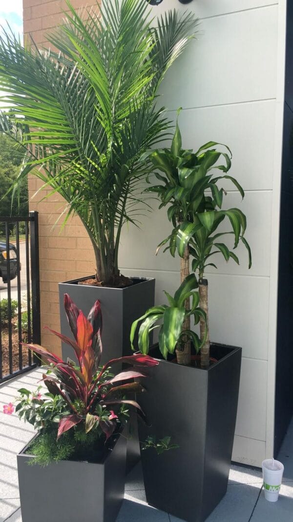 Pots and Columns - Image 25