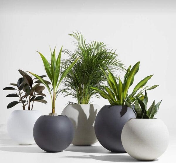 Pots and Columns - Image 29