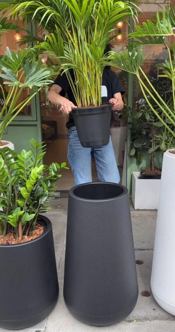 Pots and Columns - Image 6