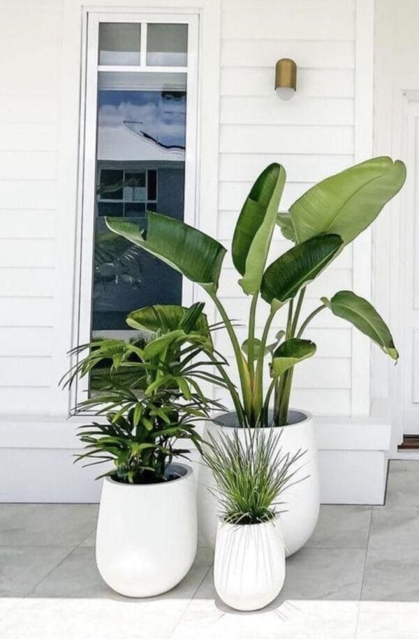 Pots and Columns - Image 31