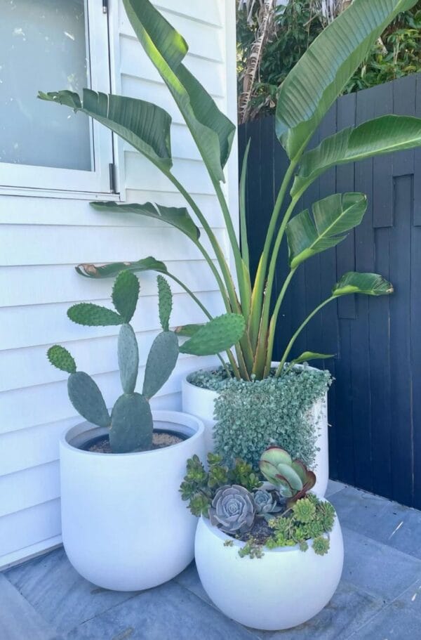 Pots and Columns - Image 12