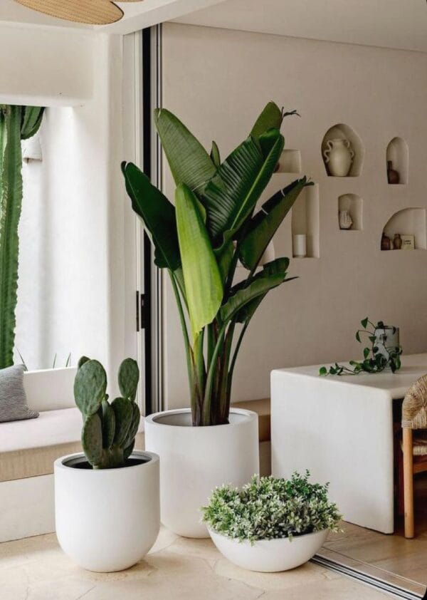 Pots and Columns - Image 20